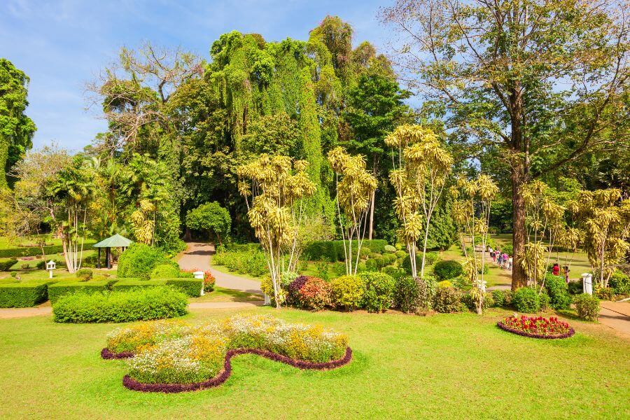 メルボルン　メルボルン王立植物園