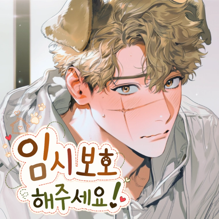 임시보호해주세요!