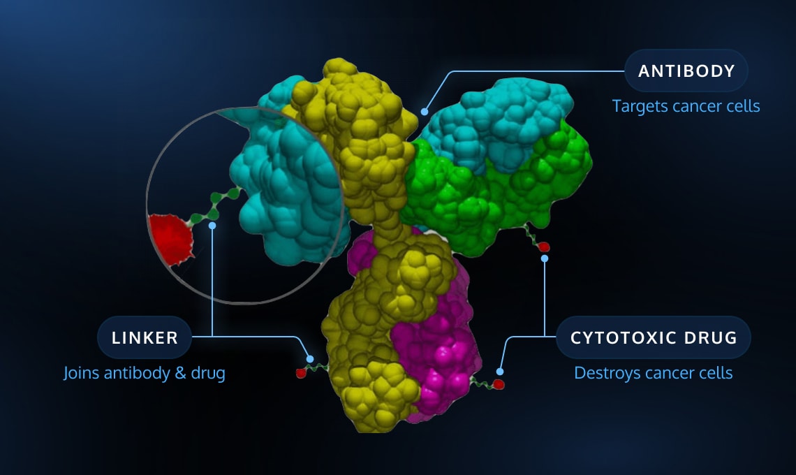 Novel Toxins Cell overview