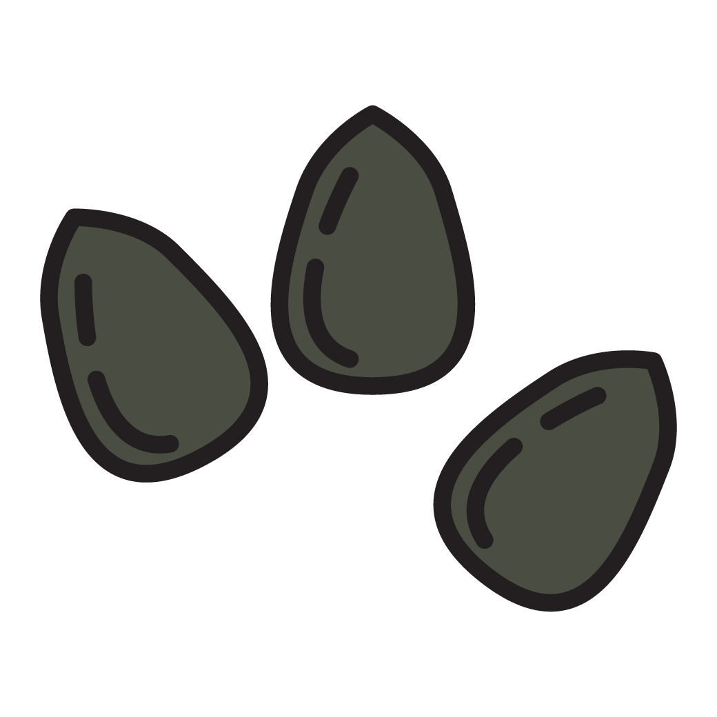 Seeds