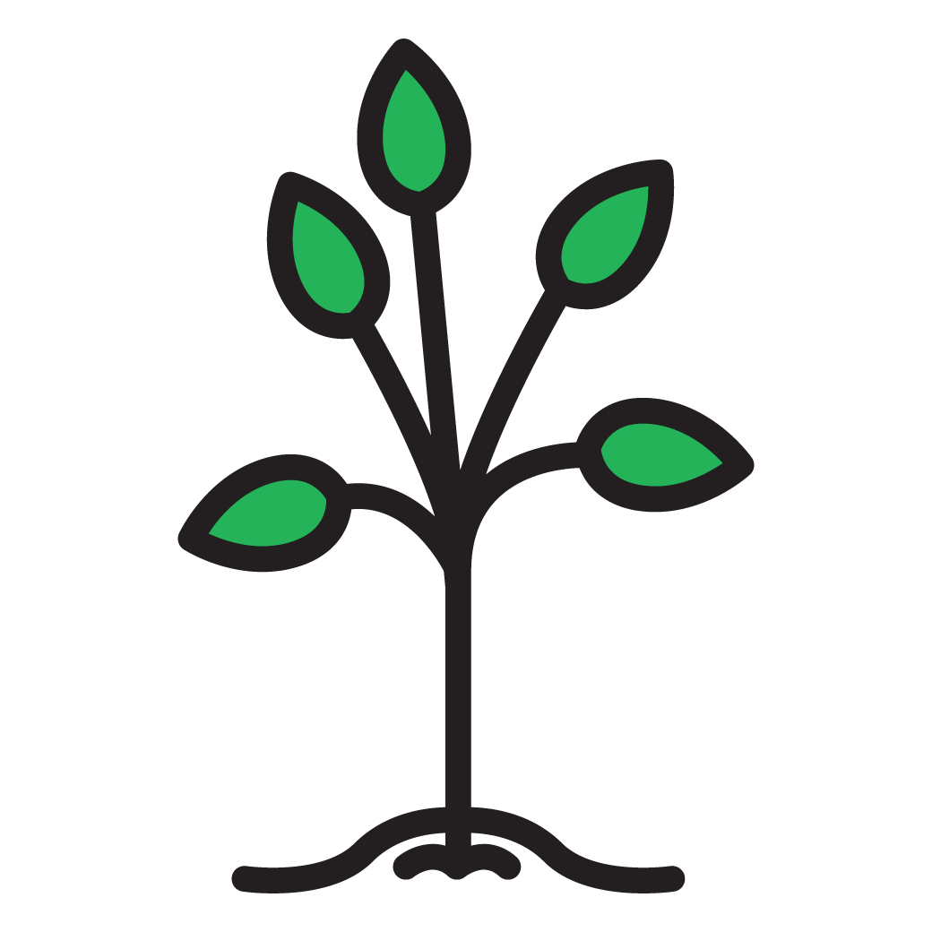 Sprout