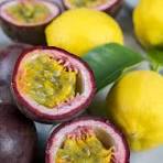 Lemon Passion Fruit Tea (700ml)