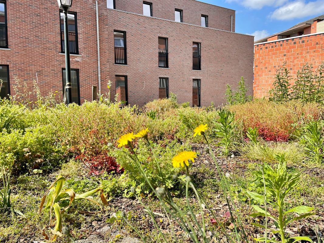 Ruim gelijkvloers appartement met 2 slpk, grote bergruimtes en ultra zonnige tuin