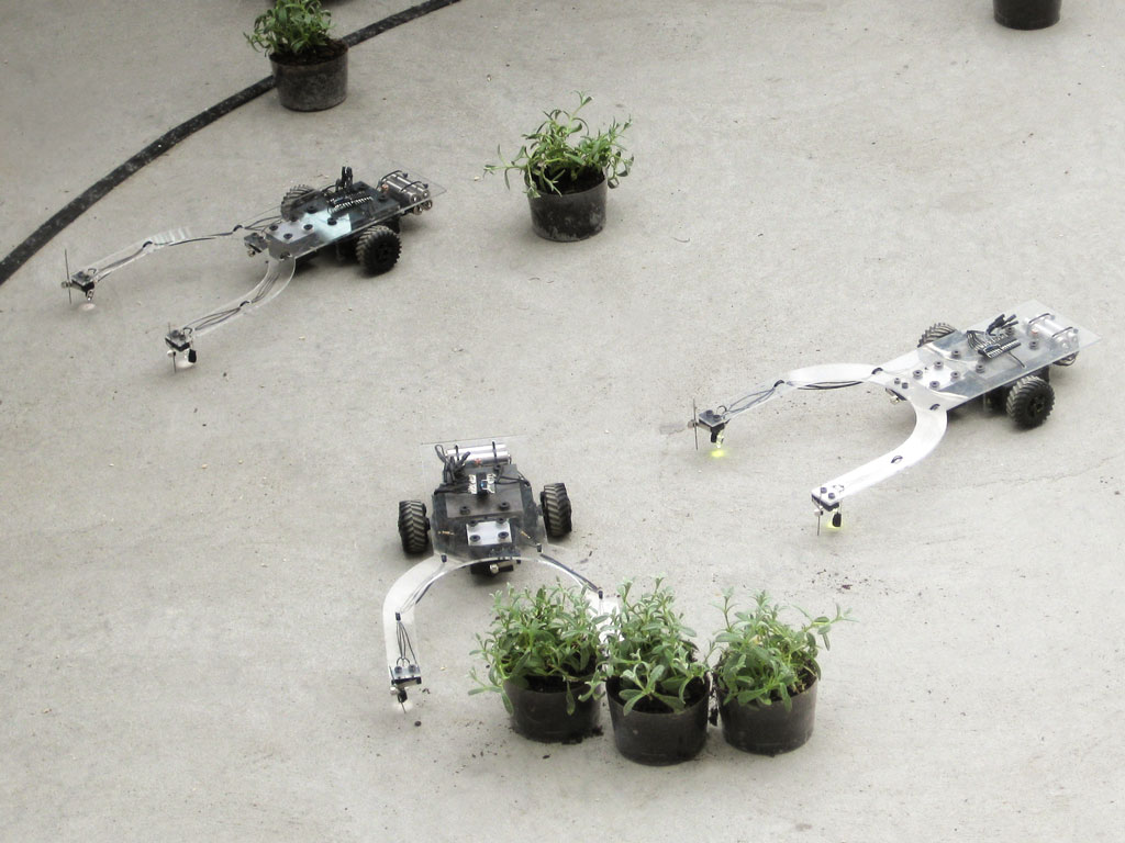 robot-garden