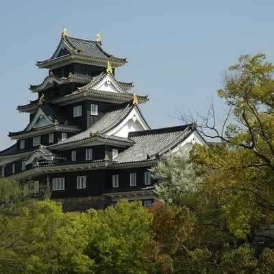 岡山城