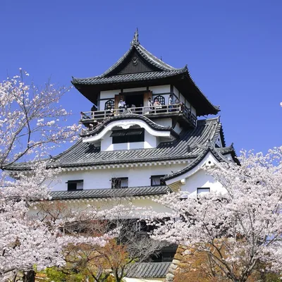 犬山城
