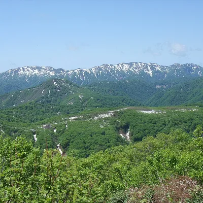 白神山地