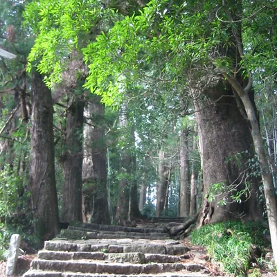 紀伊山地の霊場と参詣道