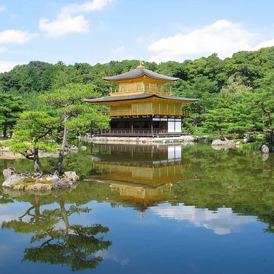 古都京都の文化財