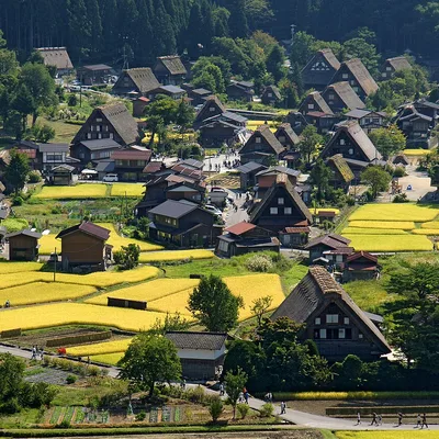 白川郷・五箇山の合掌造り集落