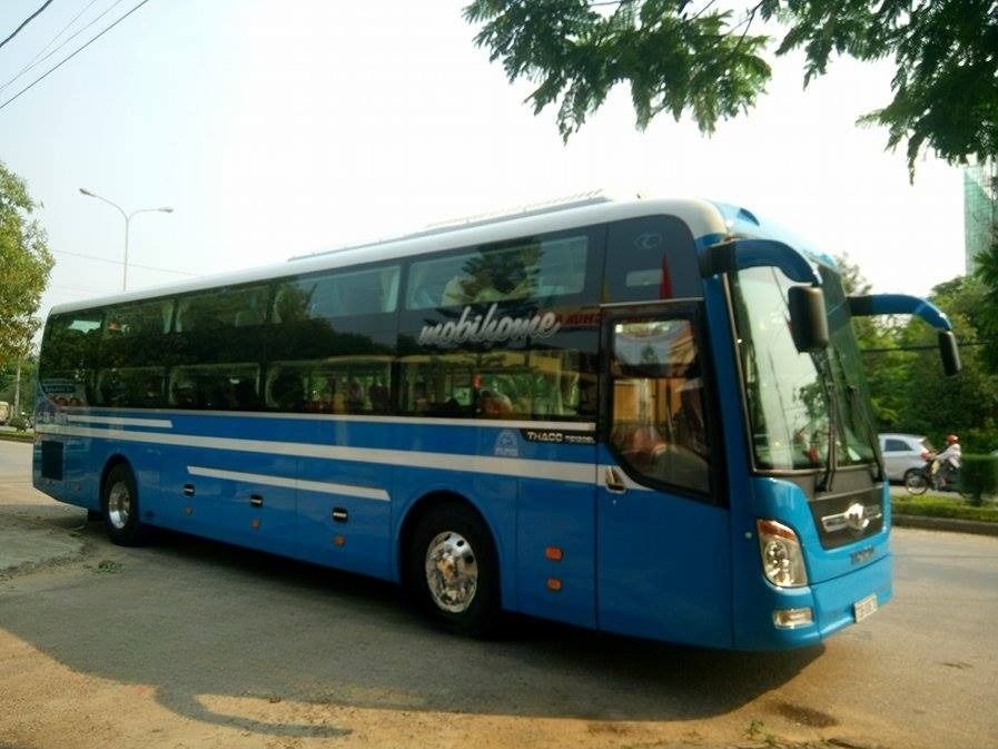 Nhẫn Việt