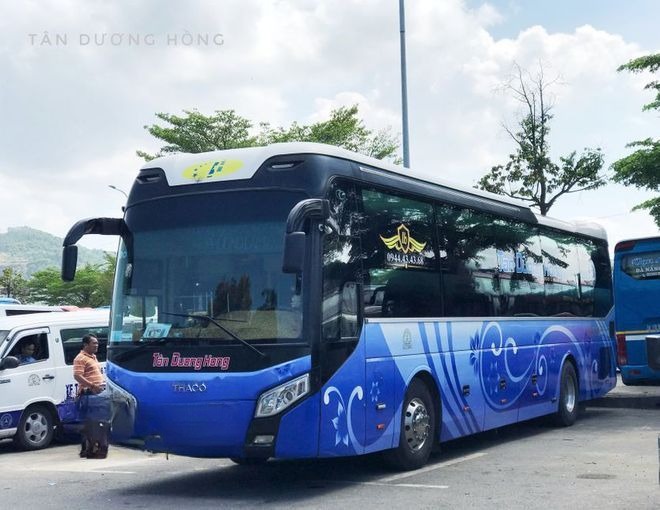 Tân Dương Hồng