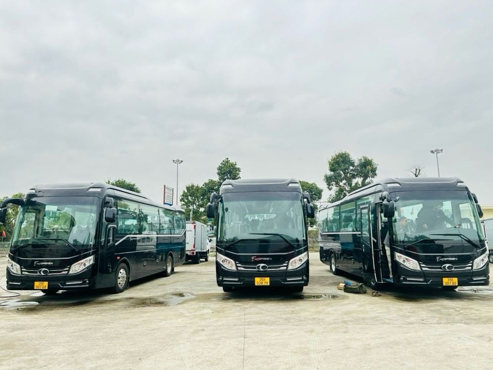 Xe Cát Bà Easy Mặt trước xe Limousine 19 chỗ