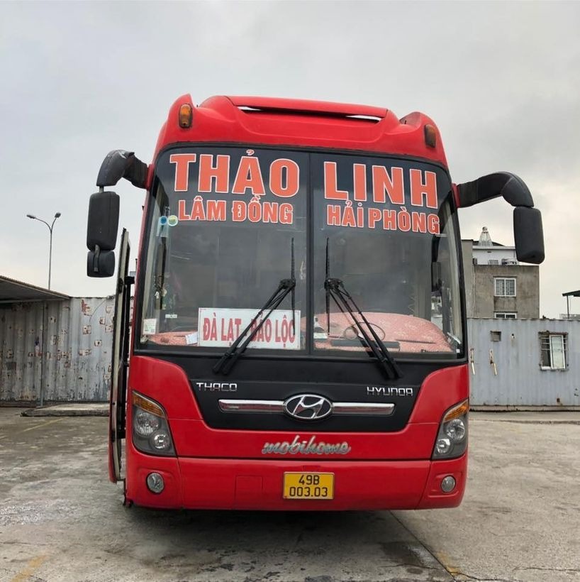 Thảo Linh