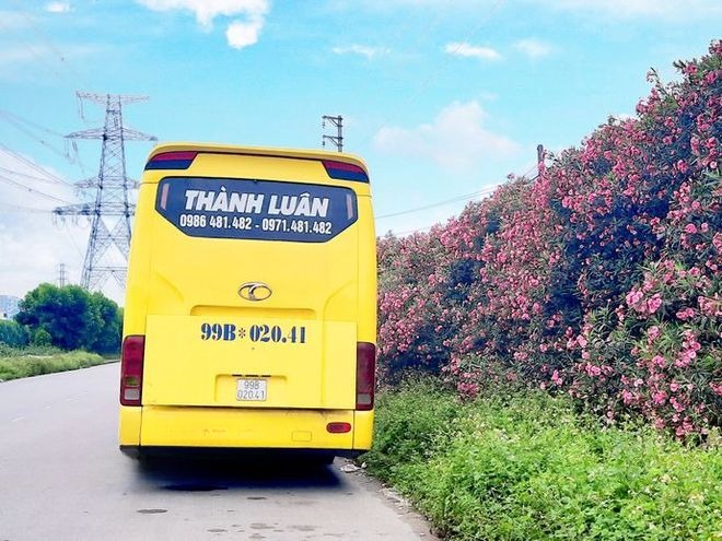 Xe Thành Luân Mặt sau xe Giường nằm 41 chỗ