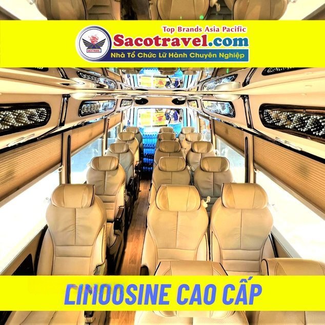 Xe Saco Travel Ghế ngồi Nội thất Tiện ích Limousine ghế ngồi 19 chỗ