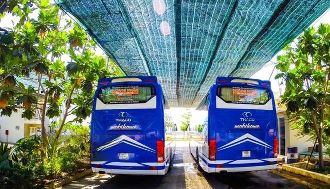 Xe Lovabus Mặt sau xe GIường nằm 43 chỗ (190, 204)