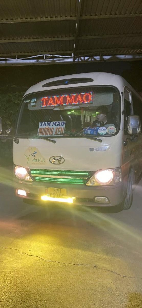 Tam Mao