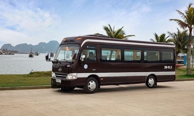 VIP Limousine 12 chỗ Rosa Eco Bus