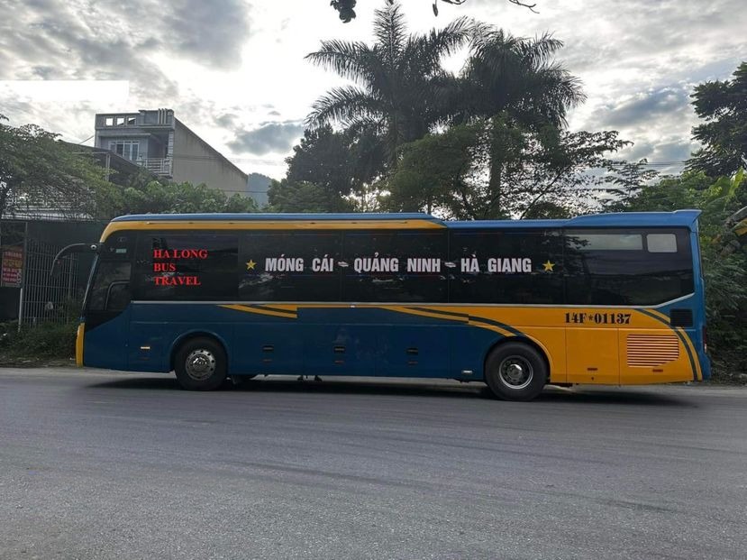 Thế Anh Travel