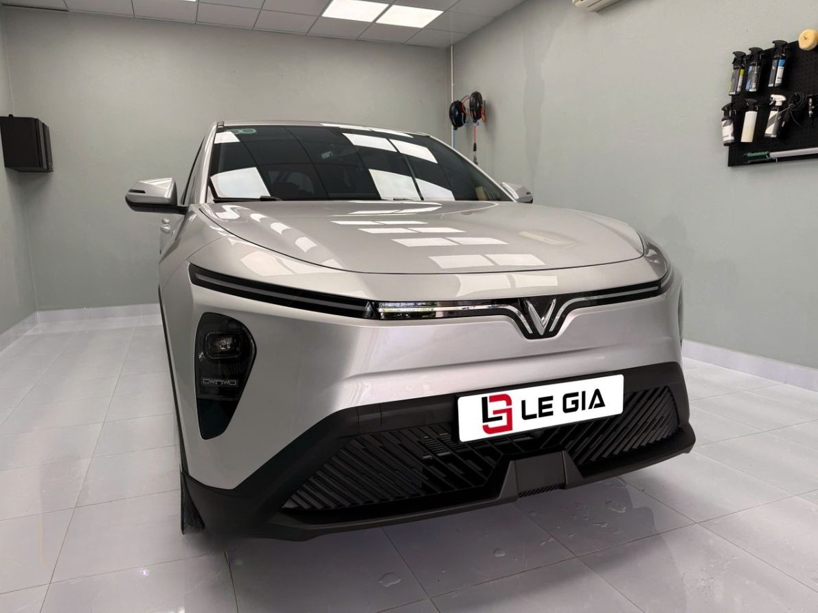 Xe Lê Gia Travel Mặt trước xe 