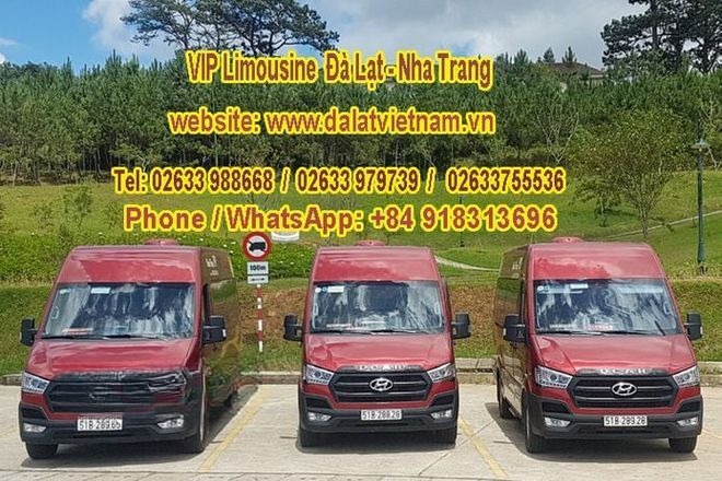 Xe DaLat Open Mặt trước xe Limousine 12 chỗ