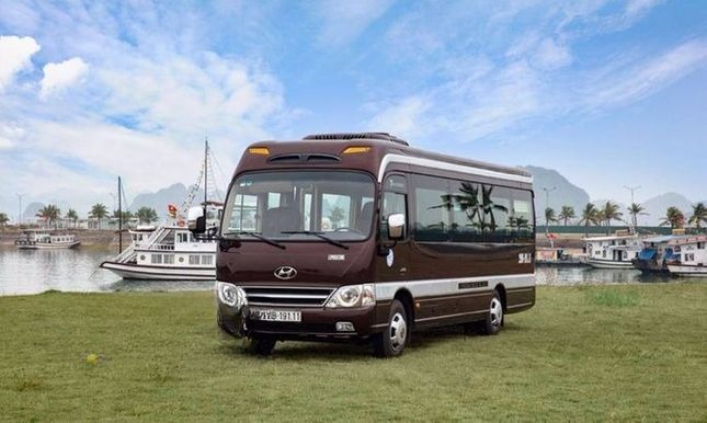 Rosa Eco Bus