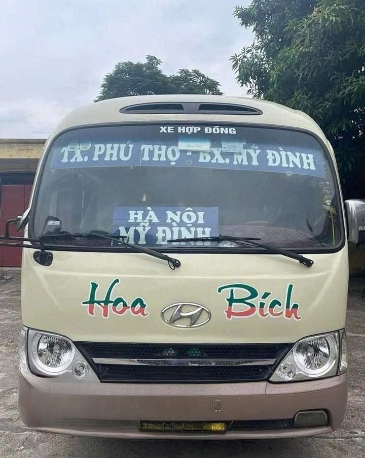 Hoa Bích