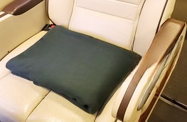 Xe Mai Linh Willer Tiện ích Limousine 9 chỗ