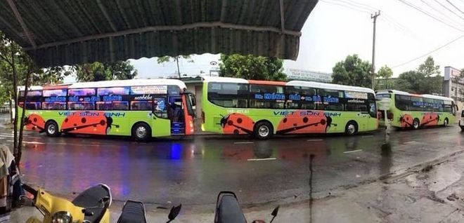 Việt Sơn Anh