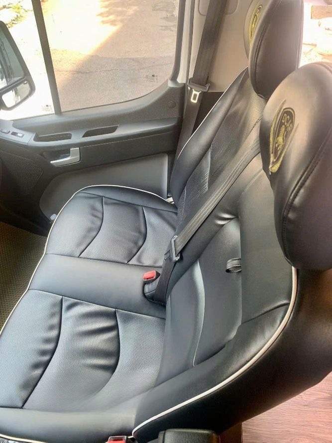 Xe Eco Sapa Limousine undefined