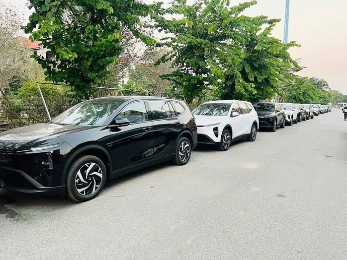 Xe Tân Limousine Mặt trước xe Bên hông xe Vinfast Limo Green 6 chỗ