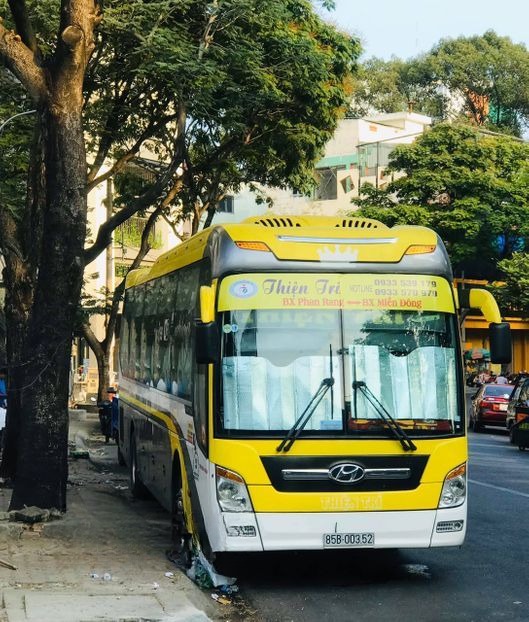 Xe Lovabus Mặt trước xe Giường nằm 43 chỗ
