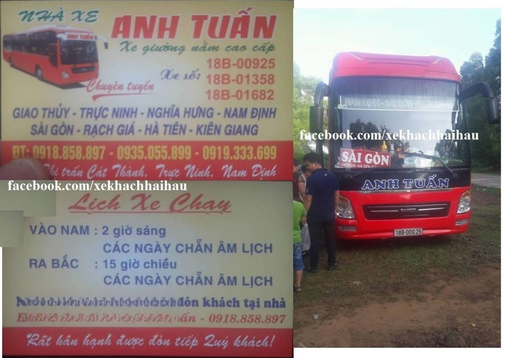 Anh Tuấn (Ninh Bình)
