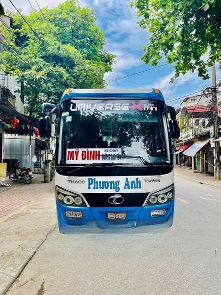 Phương Anh (Hợp đồng)