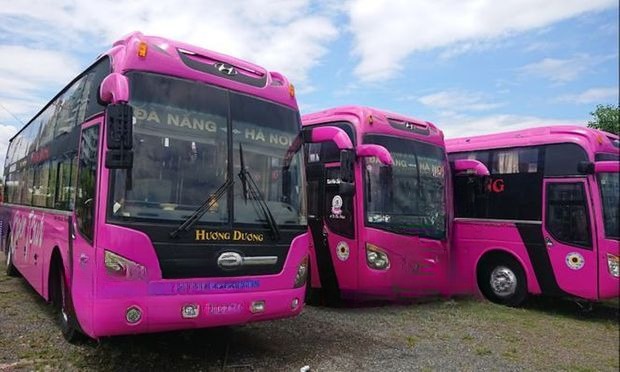 Giường nằm 44 chỗ Hướng Dương