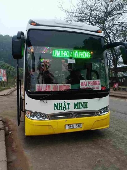 Giường nằm 46 chỗ  Nhật Minh