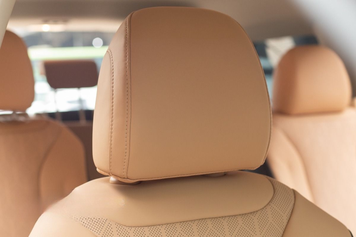 Xe Hà Lan Transport Ghế ngồi Xe 6 chỗ