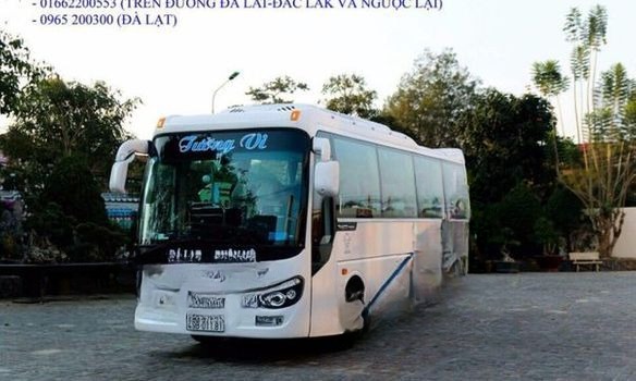 Tường Vi