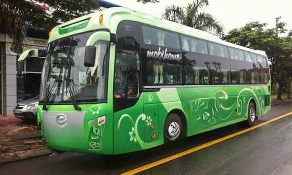 Giường nằm 40 chỗ  Minh Đức