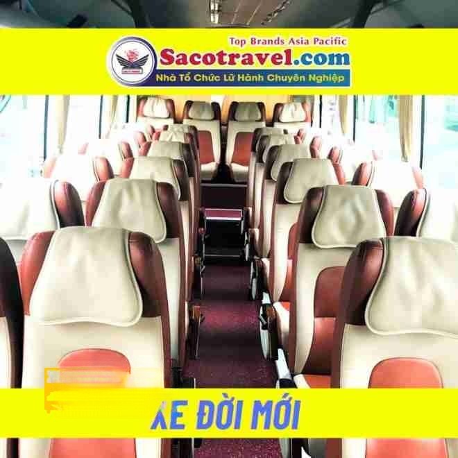 Xe Saco Travel Ghế ngồi Nội thất Ghế ngồi 37 chỗ