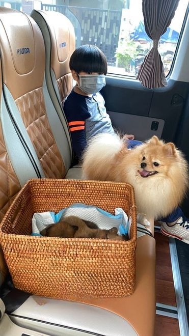 Xe Duy Huỳnh Ghế ngồi Tiện ích Nội thất Ghế ngồi 16 chỗ