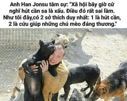Ghế nằm 14 chỗ Lovabus