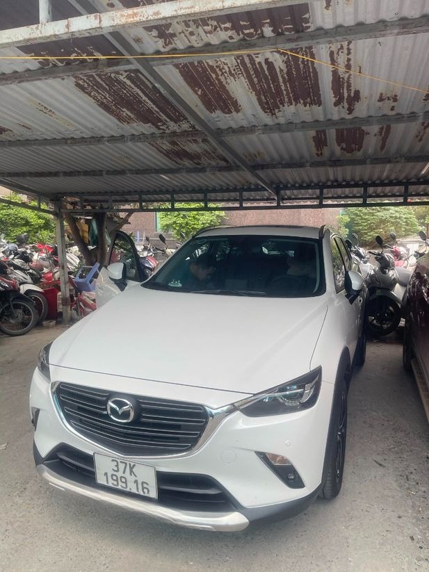 Xe Lovabus Mặt trước xe Xe 4 chỗ