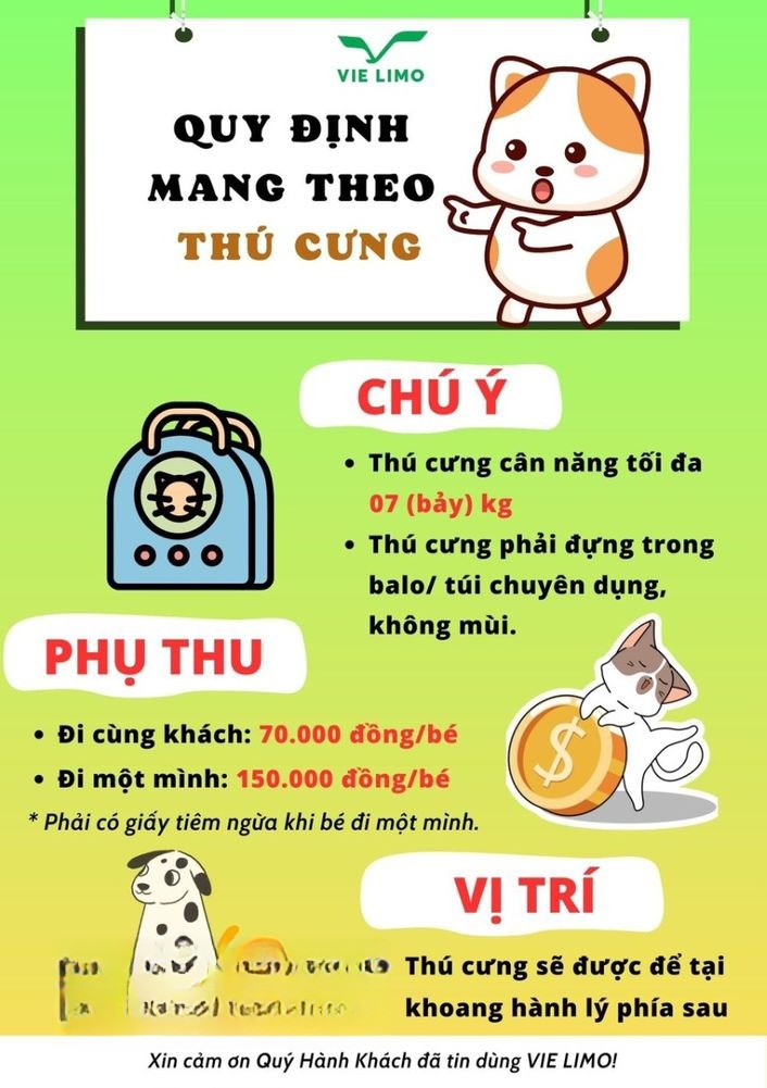 Xe Vie Limousine Tiện ích Limousine 18 chỗ
