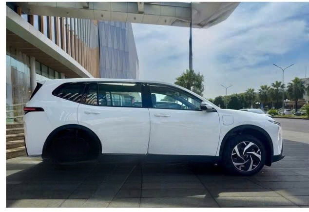 Xe Tân Limousine Bên hông xe Vinfast Limo Green 6 chỗ