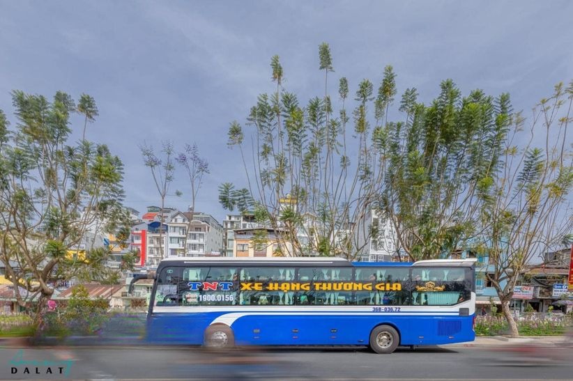 Xe TNT (Thanh Hóa) Bên hông xe Cabin 34 phòng đơn