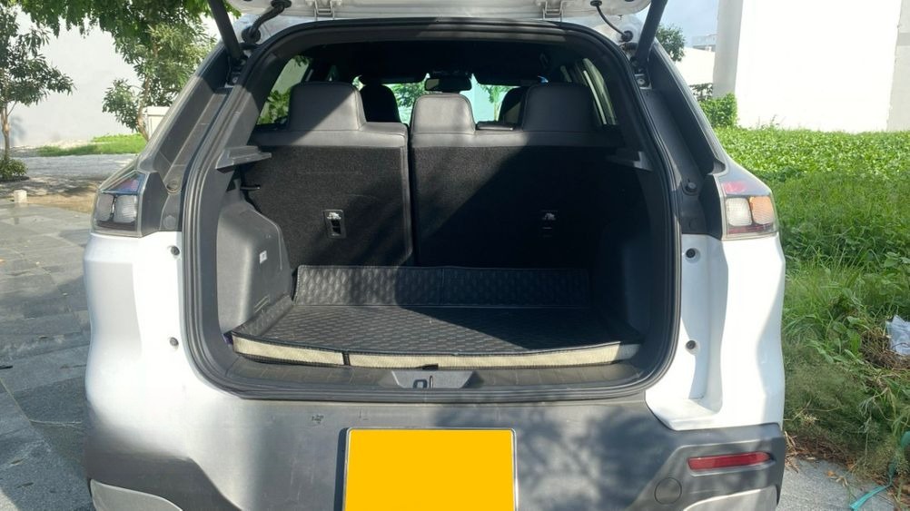 Xe Lâm Lũy Limousine Mặt sau xe VinFast 5 chỗ ngồi