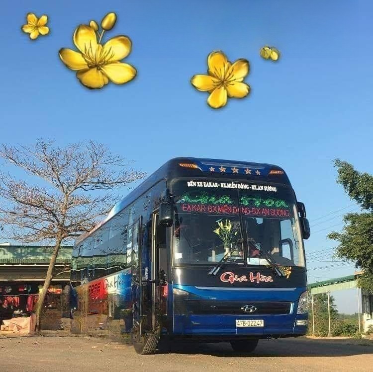 Xe Gia Hoà Mặt trước xe Bên hông xe Giường nằm 45 chỗ