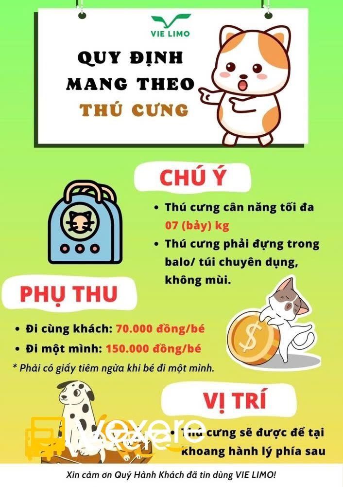 Xe Vie Limousine Tiện ích Limousine 9 chỗ